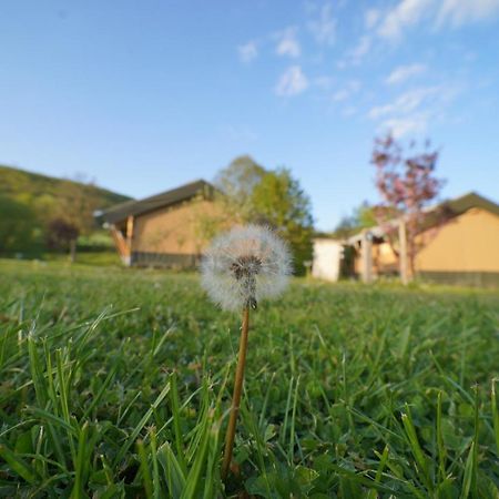 Safaritent Op Camping Berkel Bockholtz Екстер'єр фото