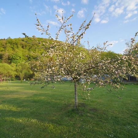Safaritent Op Camping Berkel Bockholtz Екстер'єр фото